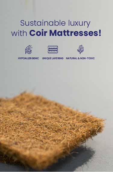 Best Coir Mattresses in India Coir Mattress Near Me relaxwell